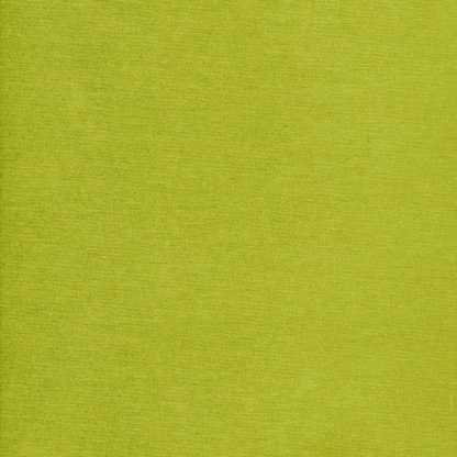 Plain Avocado Green Outdoor